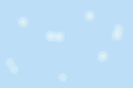 Light blue 1
