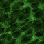 Green 2