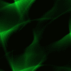 Green 3