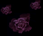 pink dark 1