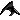 Black 6